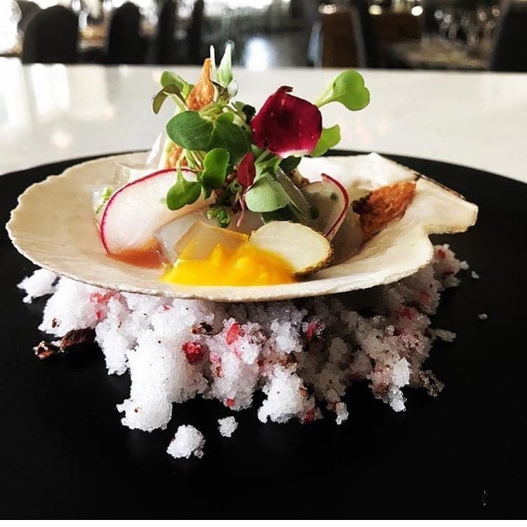 Scallop crudo served in the shell on crushed ice